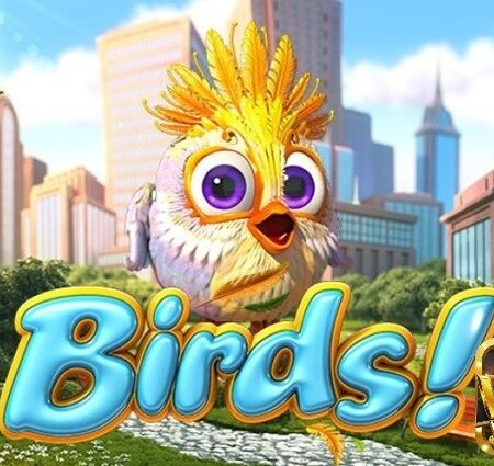 Birds slot: Những chú chim nông thôn rực rỡ sắc màu