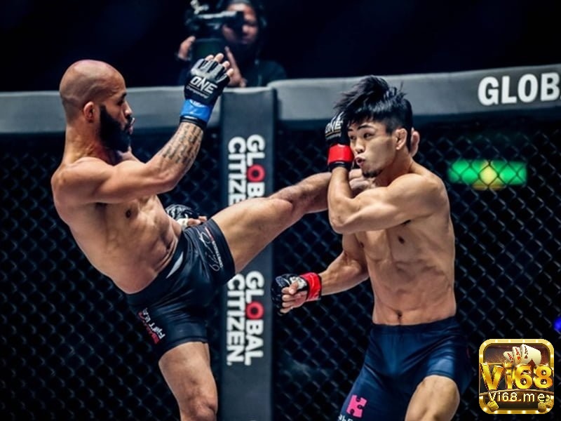 MMA là một bộ môn thi đấu tự do sử dụng nhiều kỹ thuật để tấn công đối thủ